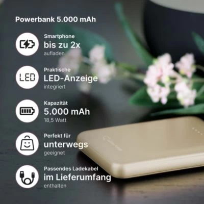 Lotta Power POWERBANKS Powerbank 5000mAh – Bild 4